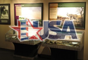 Museum Display Cases Small 404